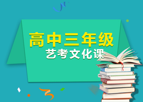 高三艺考文化课强化班