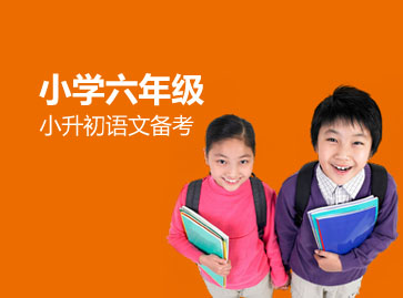 六年级小升初语文辅导班